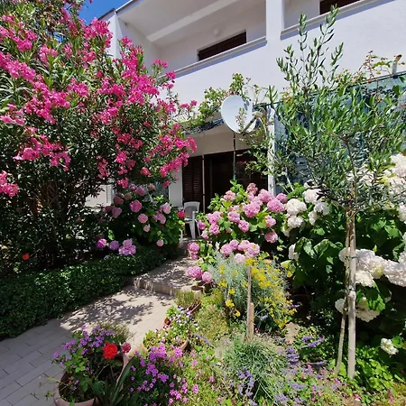 Cozy Albina Apartman