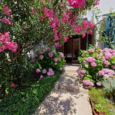 Cozy Albina شقة *