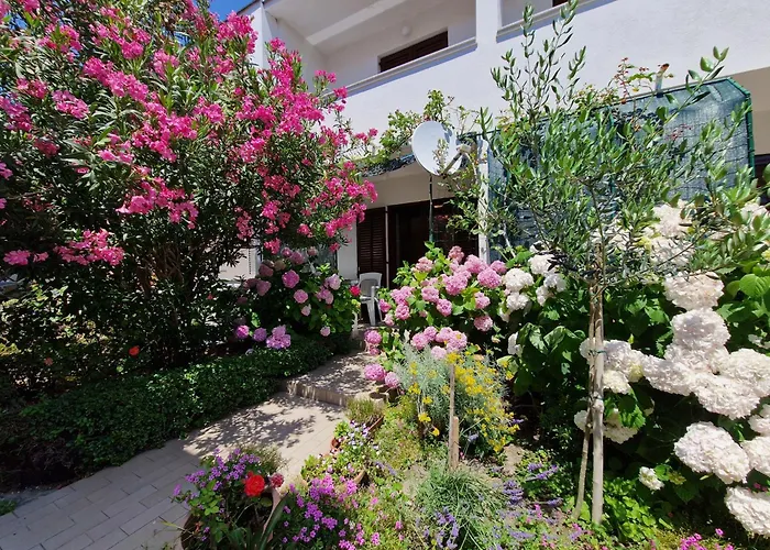 Cozy Albina Apartmán