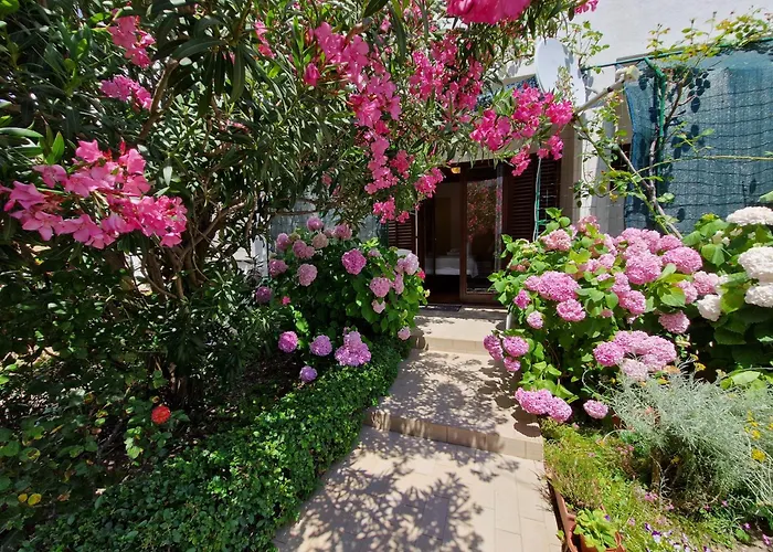 Cozy Albina Apartmán *