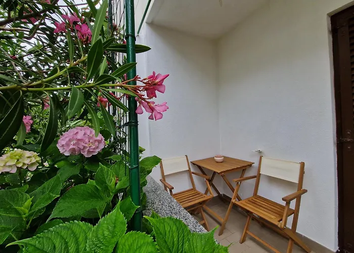 Apartmán Cozy Albina *